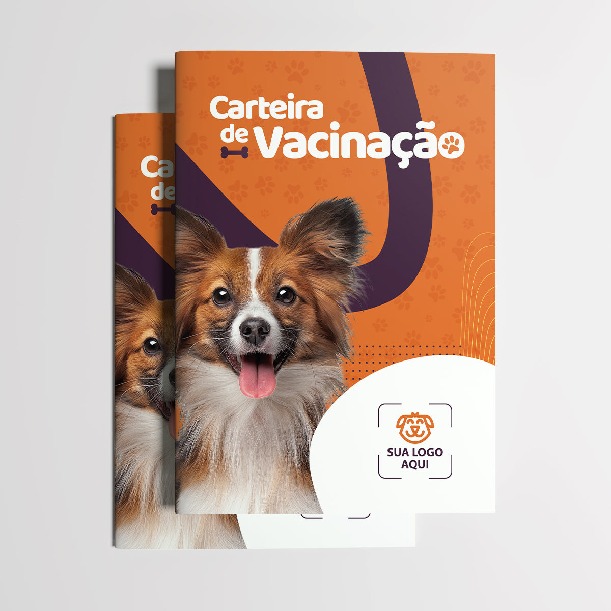 Carteirinha Econômica 8 Páginas | Modelo 013