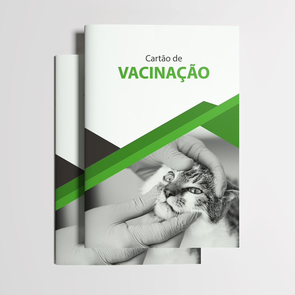 Carteira de Vacinação | Modelo 016